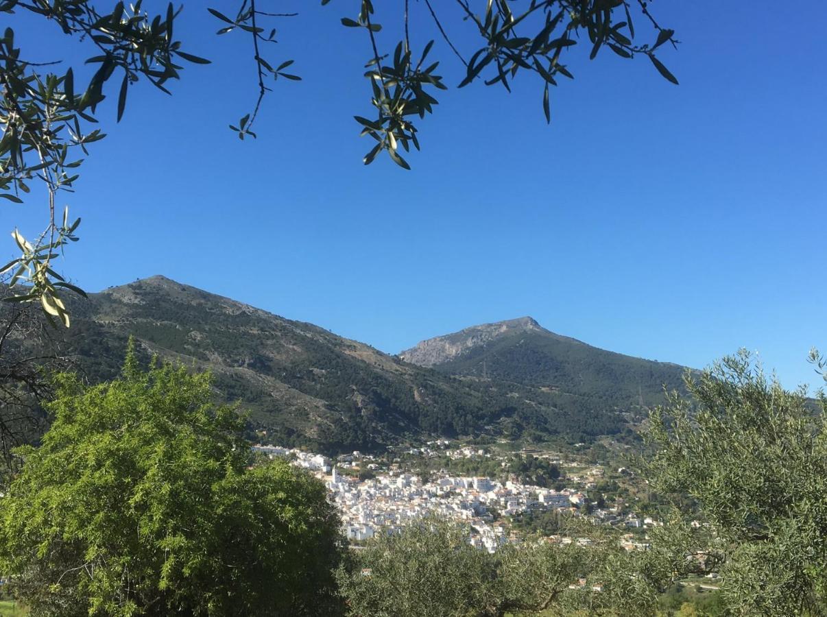 Casa Limonero Villa Casarabonela Dış mekan fotoğraf